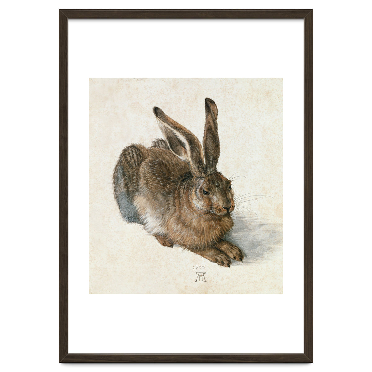 Hare-Hase. Watercolour.