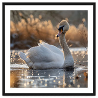 Majestic Swan On Calm Water During Sunset Nature Scene