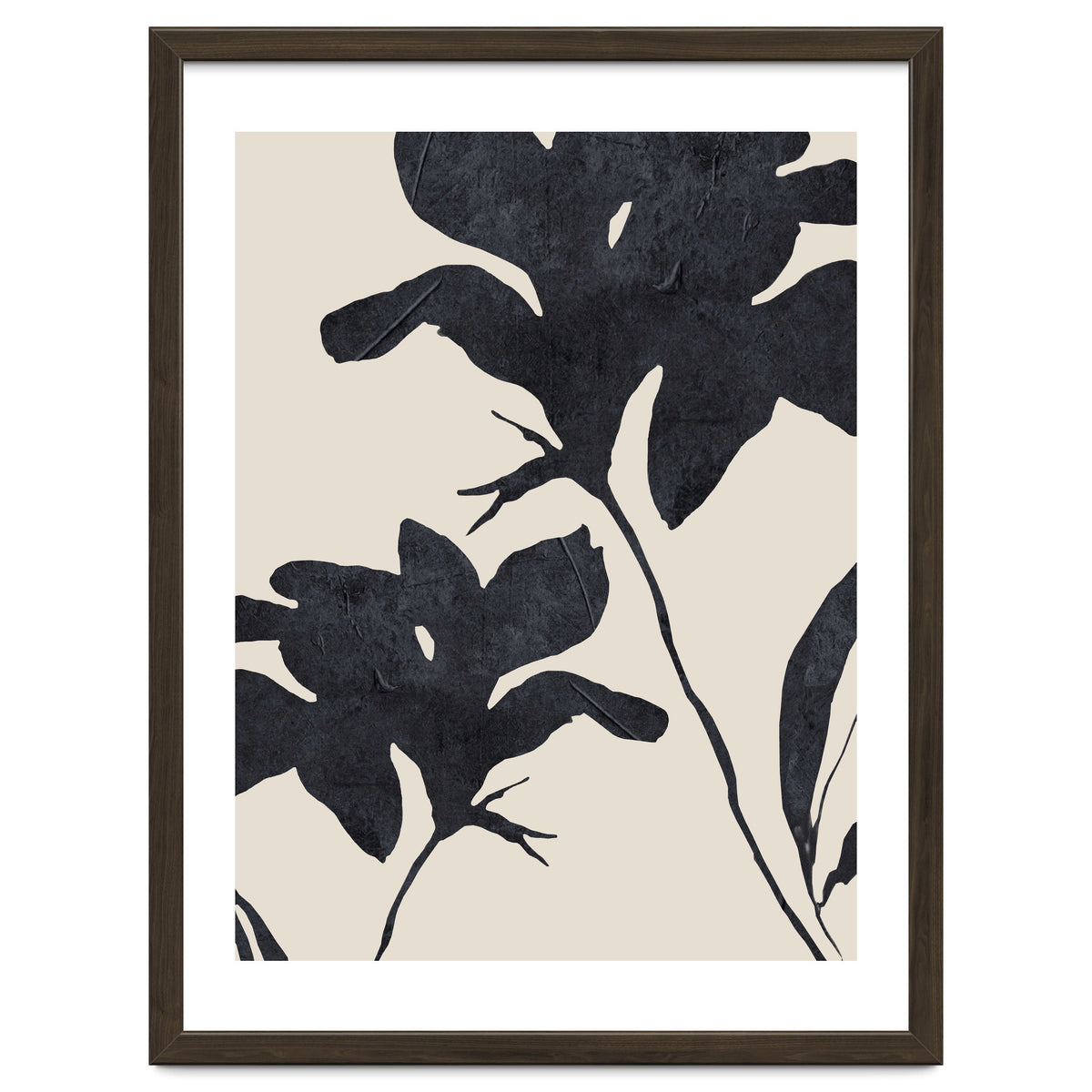 Shadowed Blooms