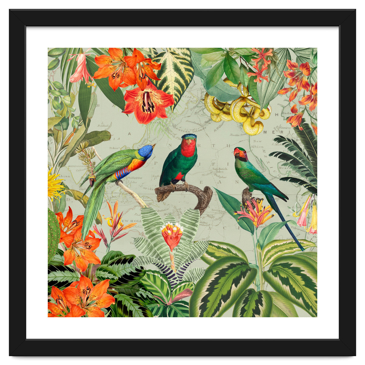 Exotic Parrots Jungle Landscape