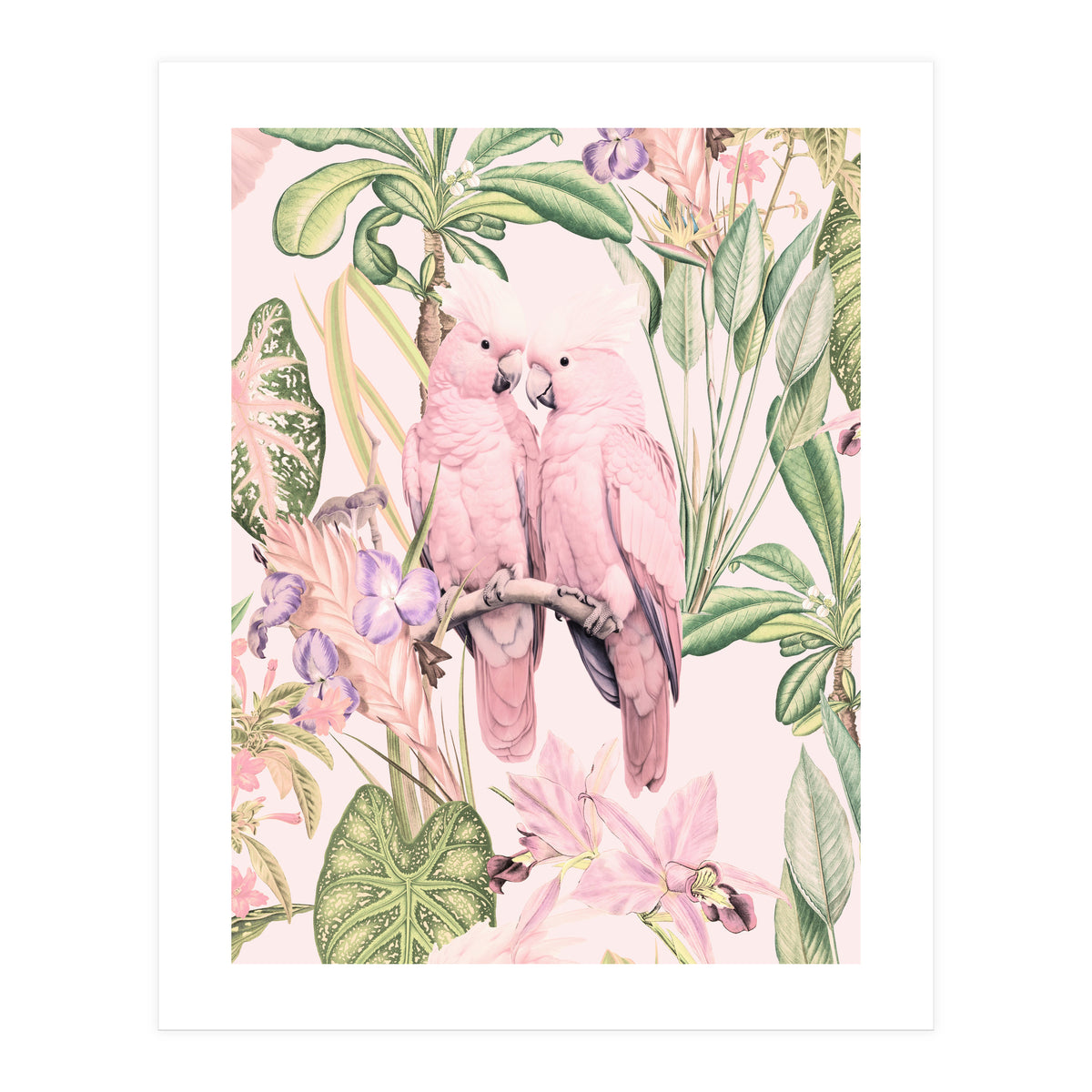 Pink Cockatoos in Love (Print Only)