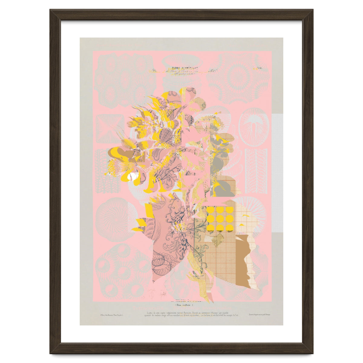 The First Plant · Tuesday Mix Mit Resten