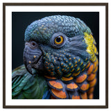 Close Up Portrait Of A Colorful Parrot's Face thumbnail