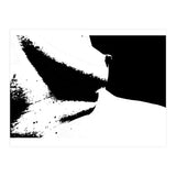 Black & White Study I (Print Only) thumbnail