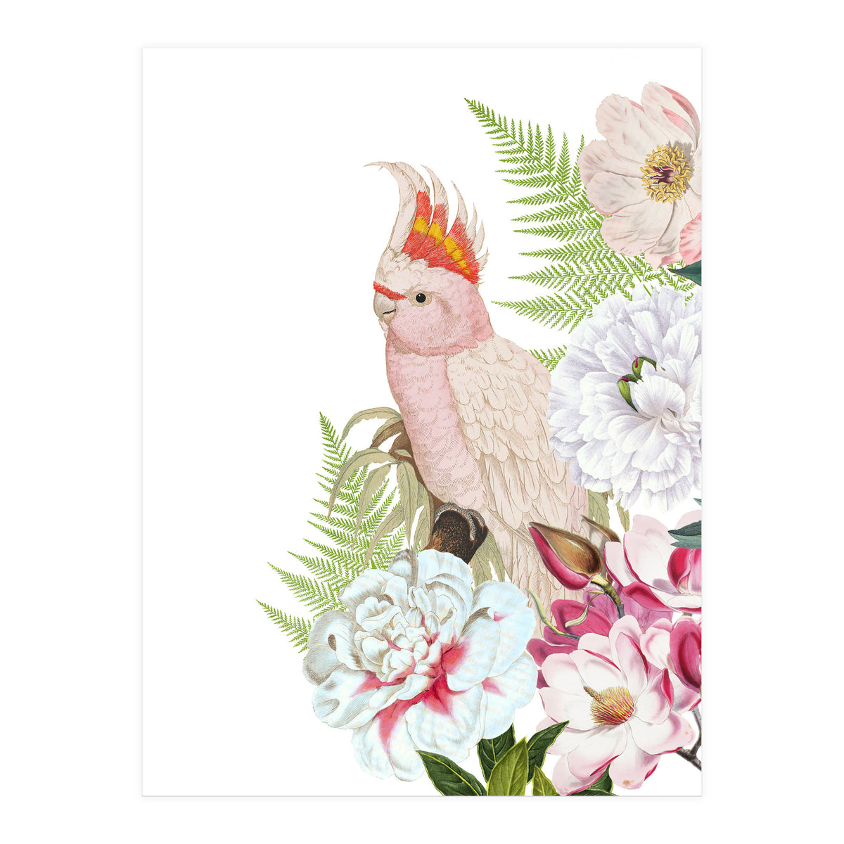 Cockatoo in Flower Jungle  (Print Only)
