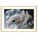 Close Up Albino Peacock Bird Portrait thumbnail