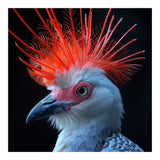 Secretary Bird (Print Only) thumbnail