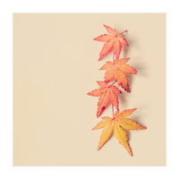 Maple In Pastel (Print Only)