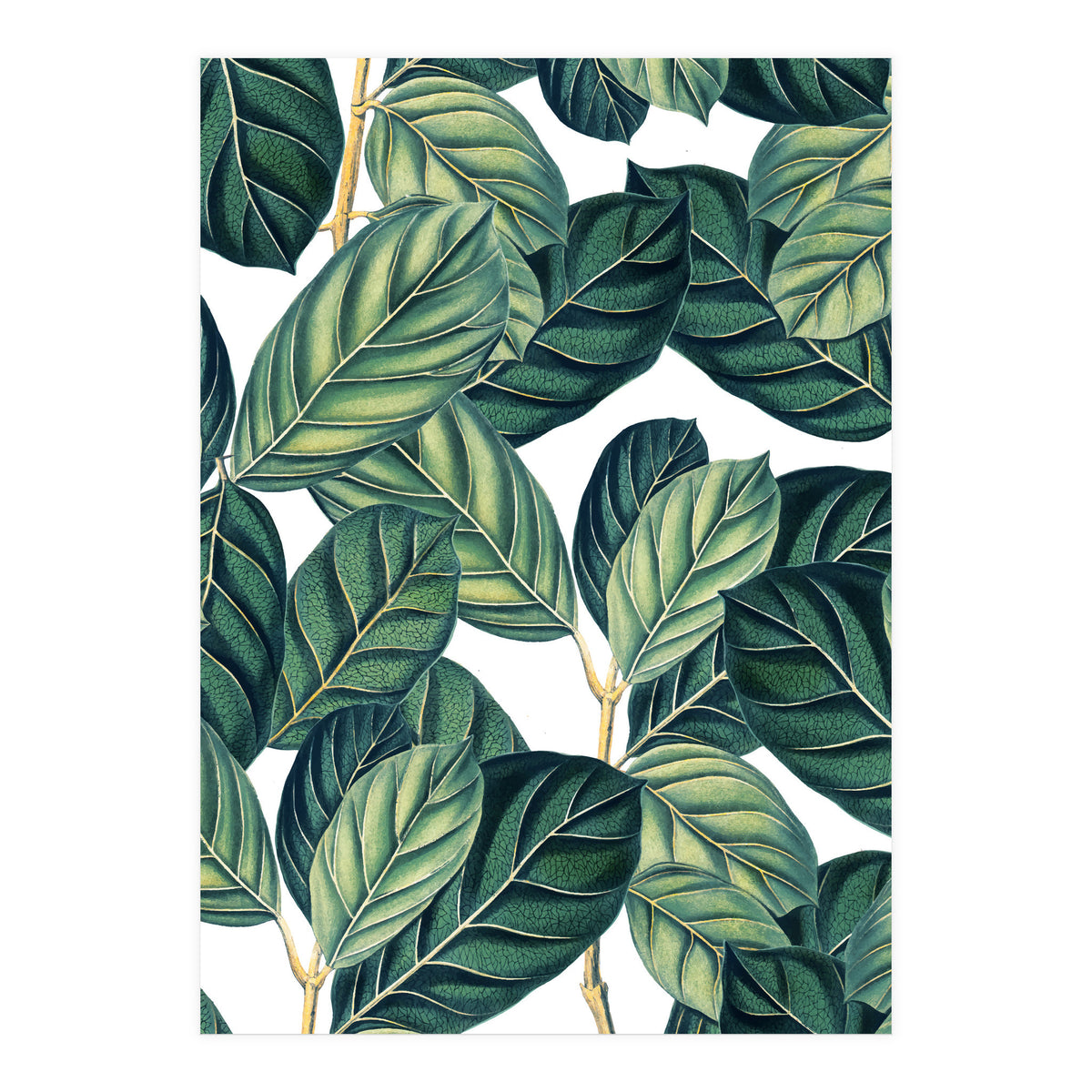 Botany #society6 #decor #buyart (Print Only)