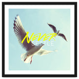 Never Settle thumbnail