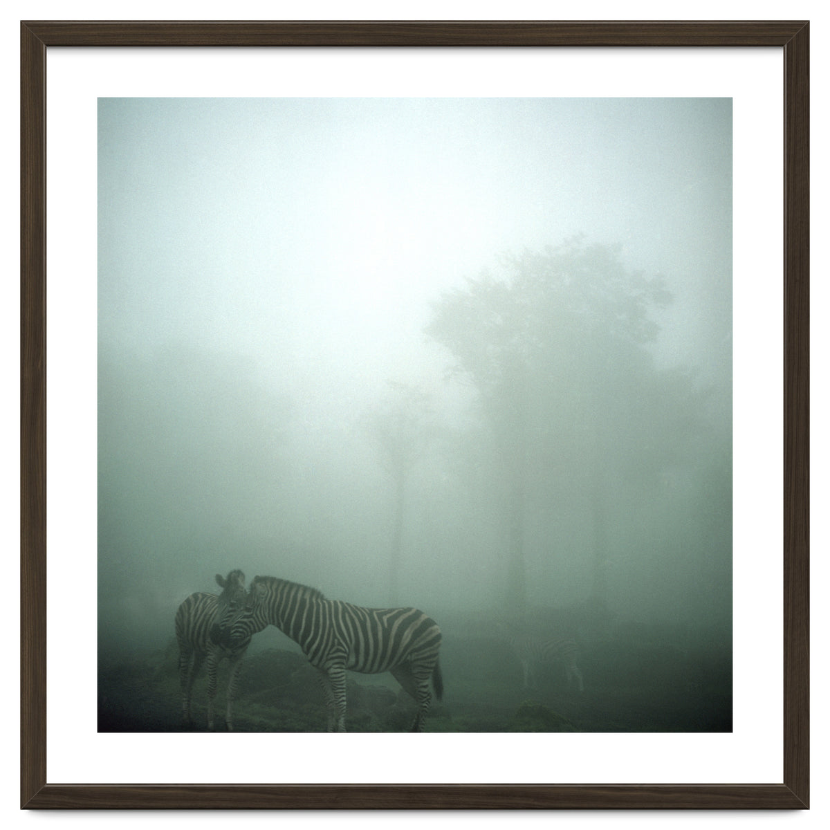 Silence of breath - 15