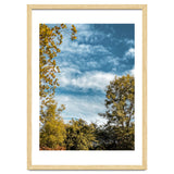 Autumn Evening thumbnail