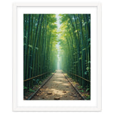 The Emerald Path: A Sun-Drenched Journey thumbnail