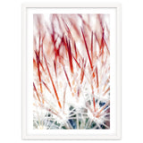 Delicate Florals thumbnail
