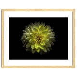 Backyard Flowers No 128 Color Version thumbnail