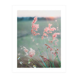 Dance With Air (Print Only) thumbnail