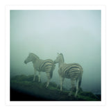 Silence of breath - 14 (Print Only) thumbnail
