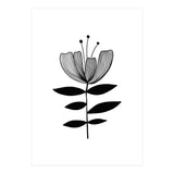 Tulip blossom (Print Only) thumbnail