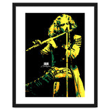 Ian Anderson Musician Legend thumbnail