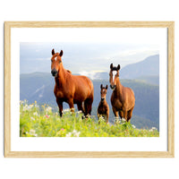 Three Horses