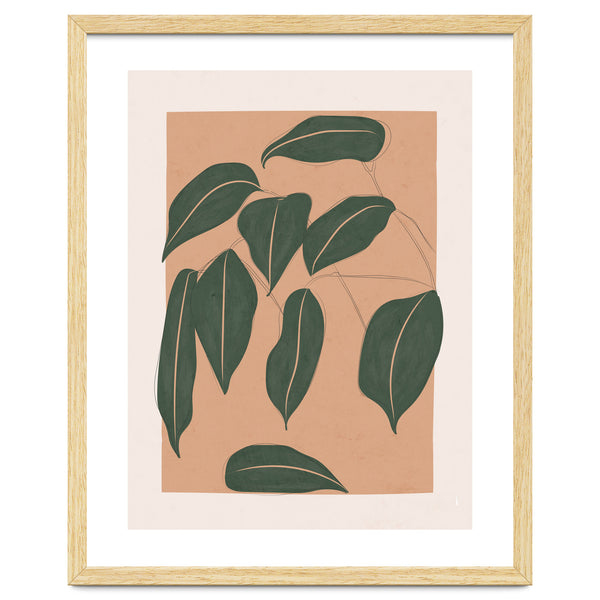 Tropical Leaves
