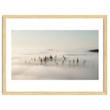 Misty Peaks: Pine Forest Above the Clouds thumbnail