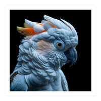 Close Up Of A Cockatoo Parrot Head (Print Only)