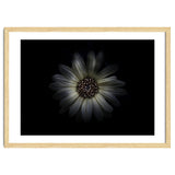 Backyard Flowers No 27 Color Version thumbnail