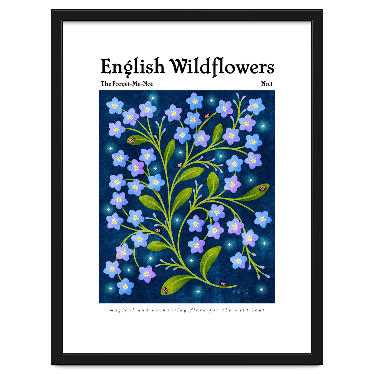 English Wildflowers | Forget-Me-Not