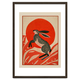 Hare And The Red Sun thumbnail