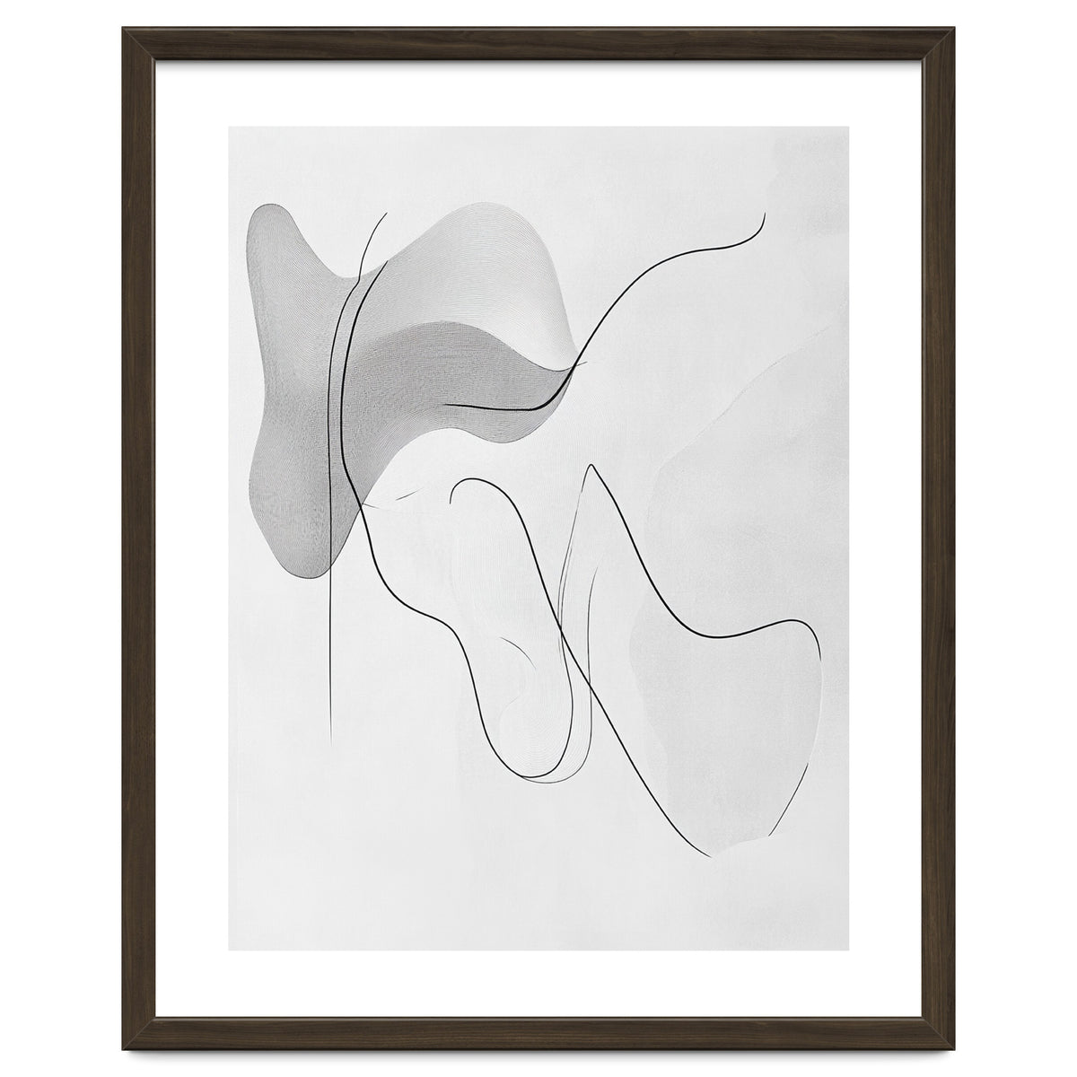 Abstract Black And White Flowing Lines And Shapes