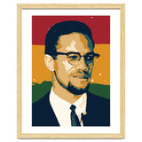 Malcolm X thumbnail