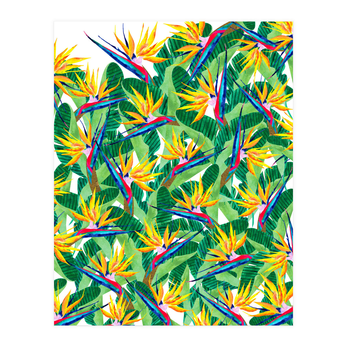 Summer Strelitzia (Print Only)