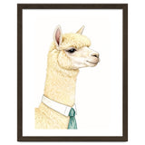 Alpaca thumbnail