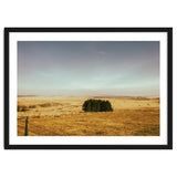 Dartmoor 2018 thumbnail