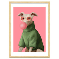Bubblegum Pup