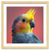 Cockatiel Parrot Head Close Up Portrait thumbnail