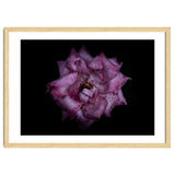 Backyard Flowers No 111 Color Version thumbnail