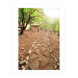 WISE (Print Only) thumbnail
