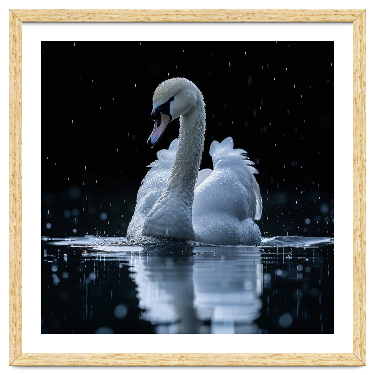 Majestic Swan Swimming In Dark Water