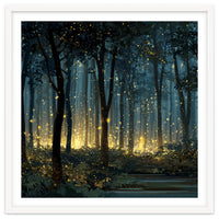 Enchanted Midnight Forest with Glowing Fireflies