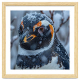 Penguin In Snow Falling Close Up Portrait thumbnail