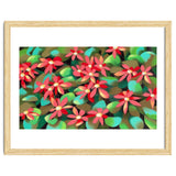Red flowers thumbnail