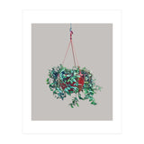 Hanging Plant (Print Only) thumbnail
