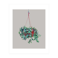 Hanging Plant (Print Only)