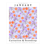 Carnations And Snowdrop January Birth Flower Floral Print (Print Only) thumbnail