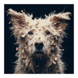 Old Dog 06 (Print Only) thumbnail