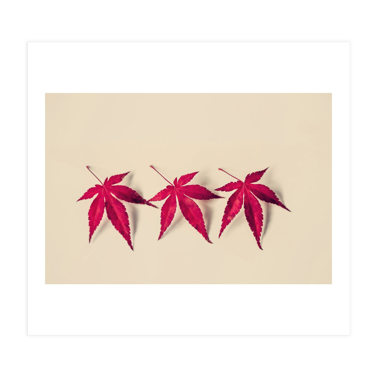 Dancing Leaves (Print Only)