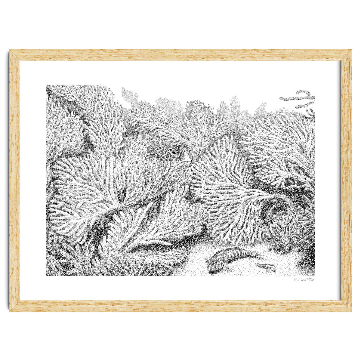 Hidden in plain sight