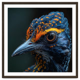 Close Up Of A Colorful Bird Head And Eye thumbnail